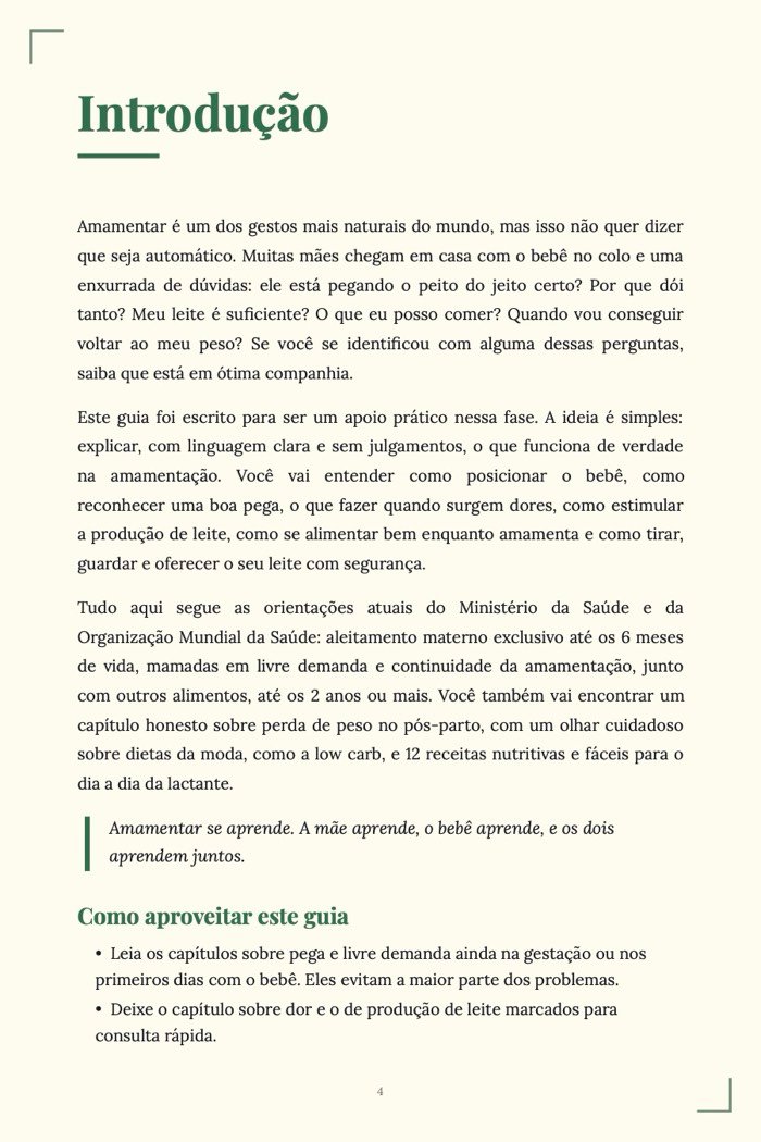 Página de exemplo 2 de Amamentação Sem Mistério