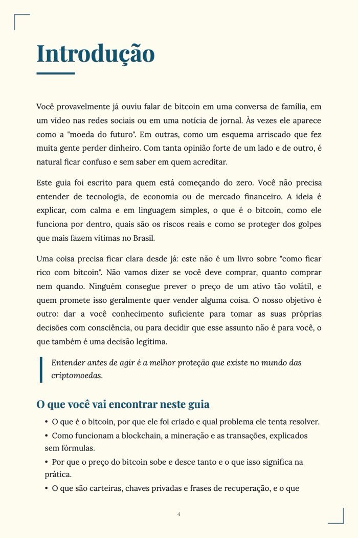 Página de exemplo 2 de Bitcoin para Iniciantes