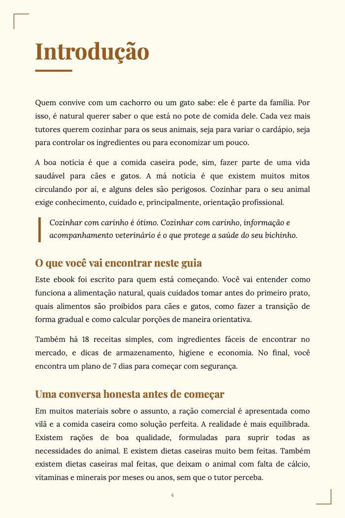 Página de exemplo 2 de Comida Caseira para Cachorro