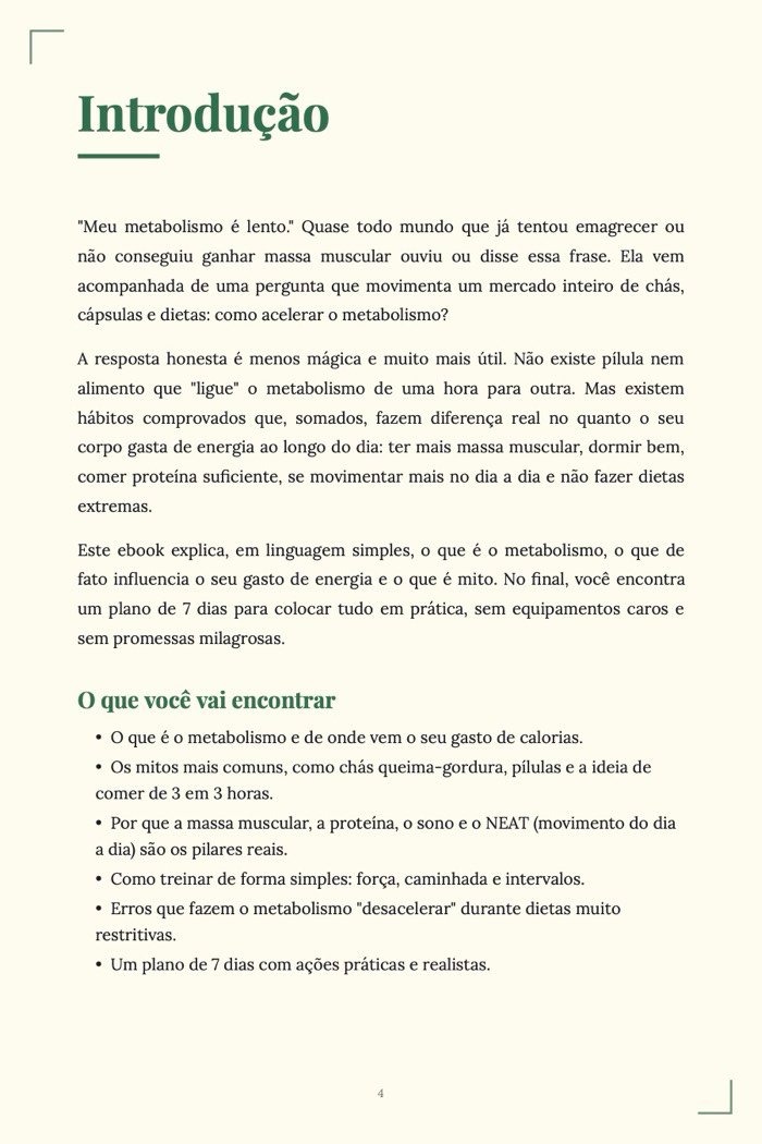 Página de exemplo 2 de Metabolismo Acelerado