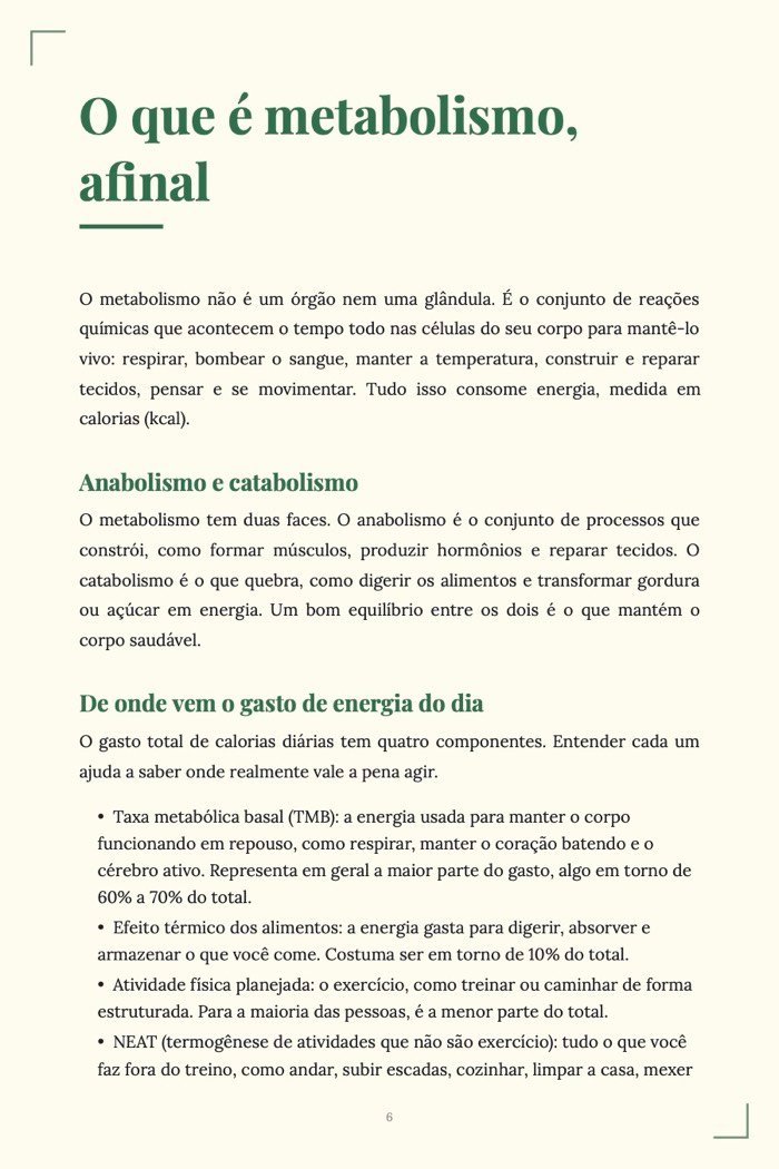 Página de exemplo 3 de Kit Corpo em Forma (4 e-books em PDF)