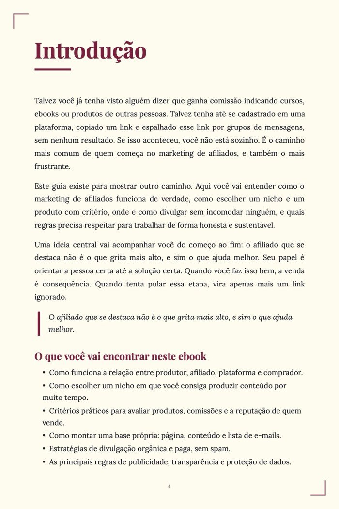 Página de exemplo 2 de Como Ser Afiliado