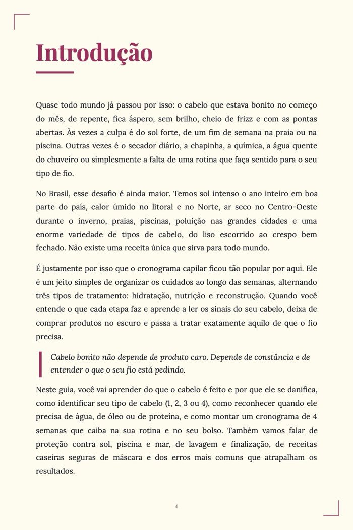 Página de exemplo 2 de Cronograma Capilar