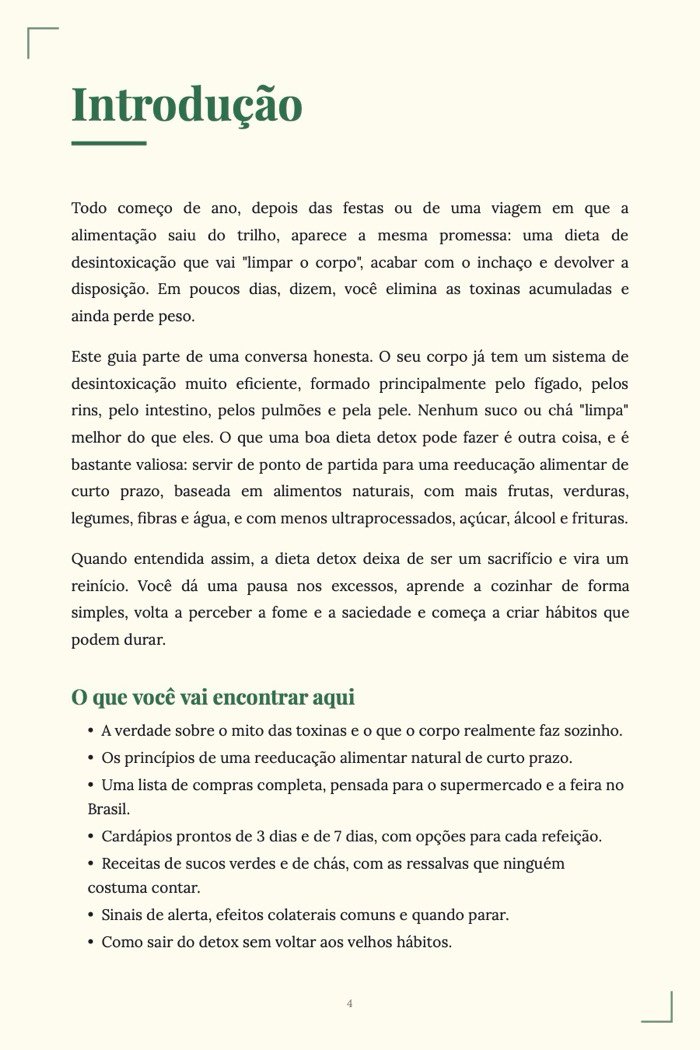 Página de exemplo 2 de Dieta Detox