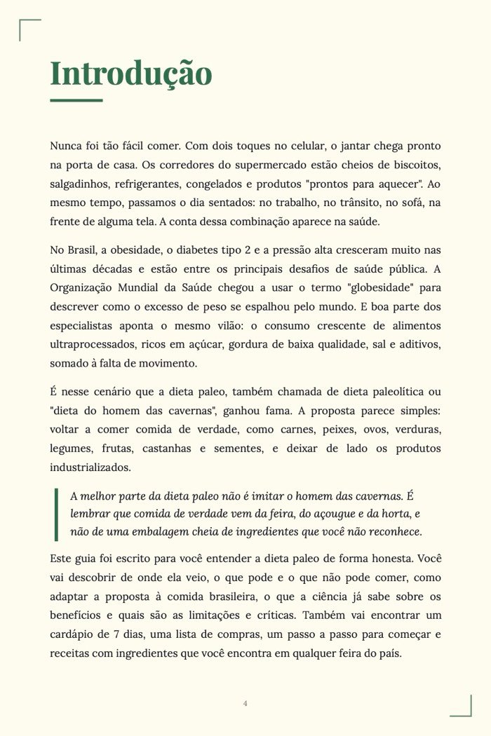 Página de exemplo 2 de Dieta Paleo