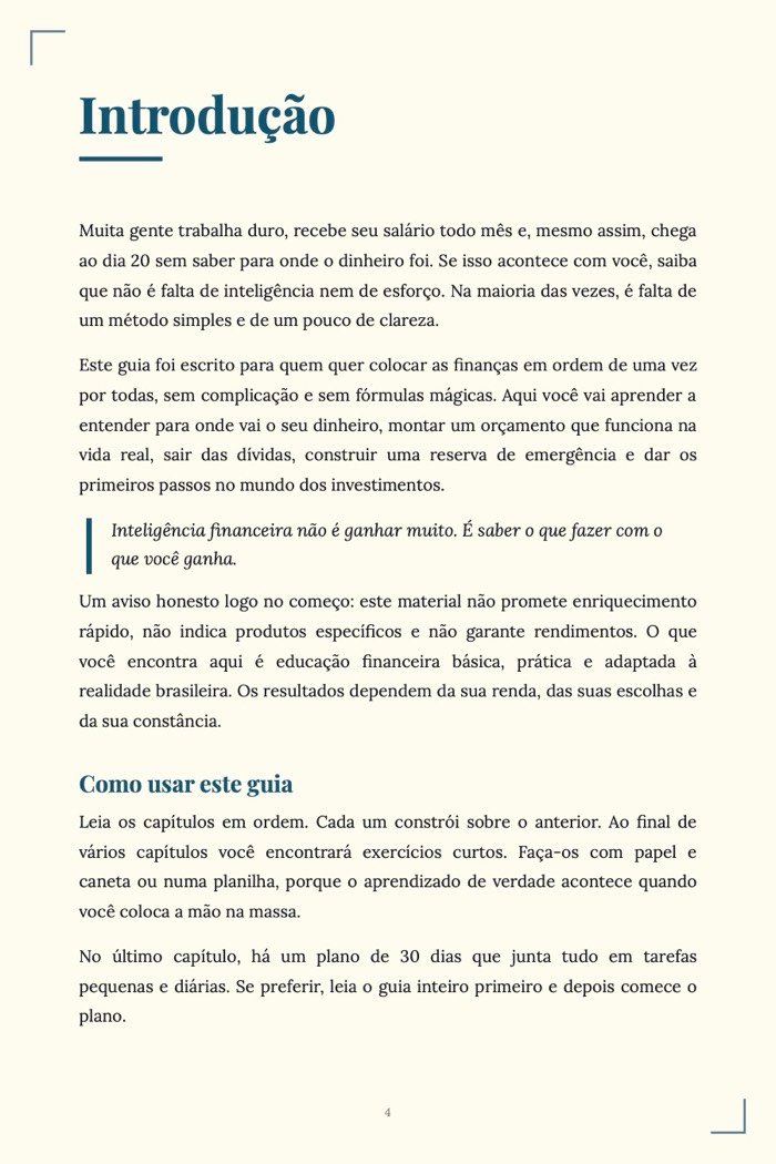 Página de exemplo 2 de Inteligência Financeira