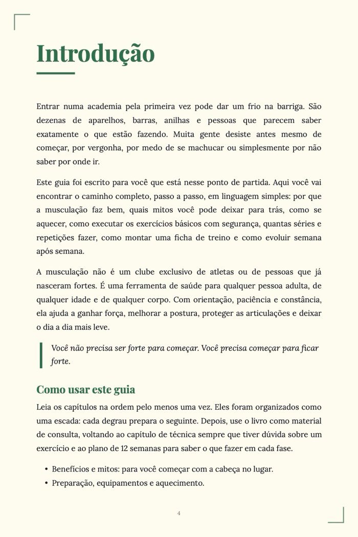 Página de exemplo 2 de Musculação para Iniciantes