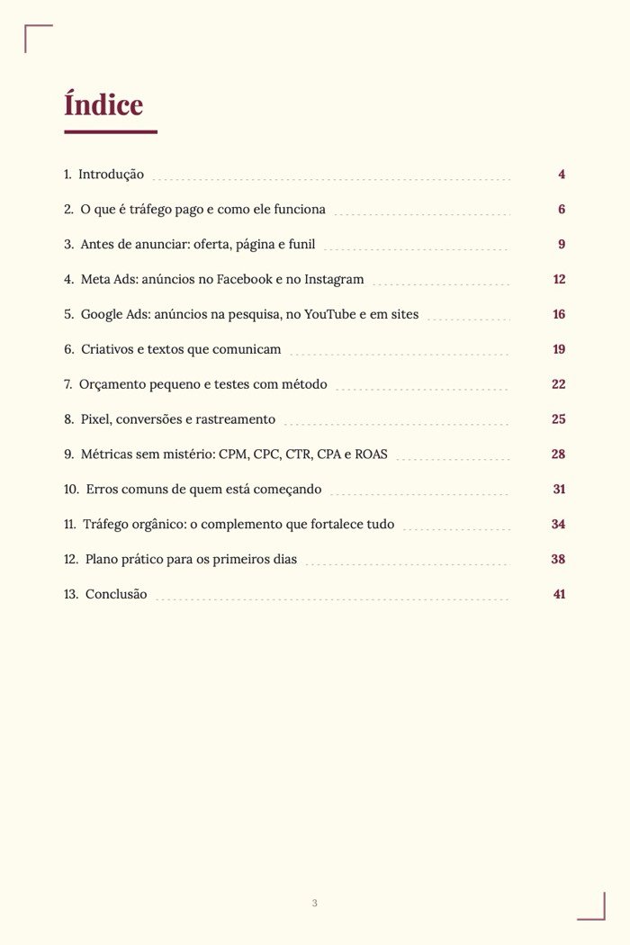 Página de exemplo 1 de Tráfego Pago para Iniciantes