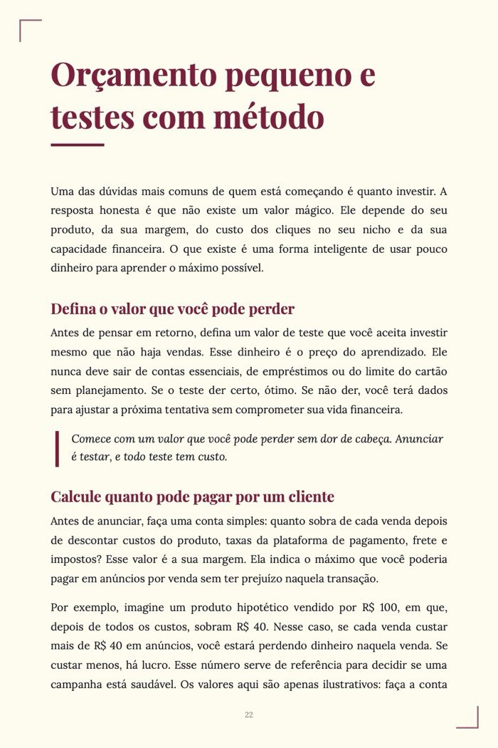 Página de exemplo 4 de Tráfego Pago para Iniciantes