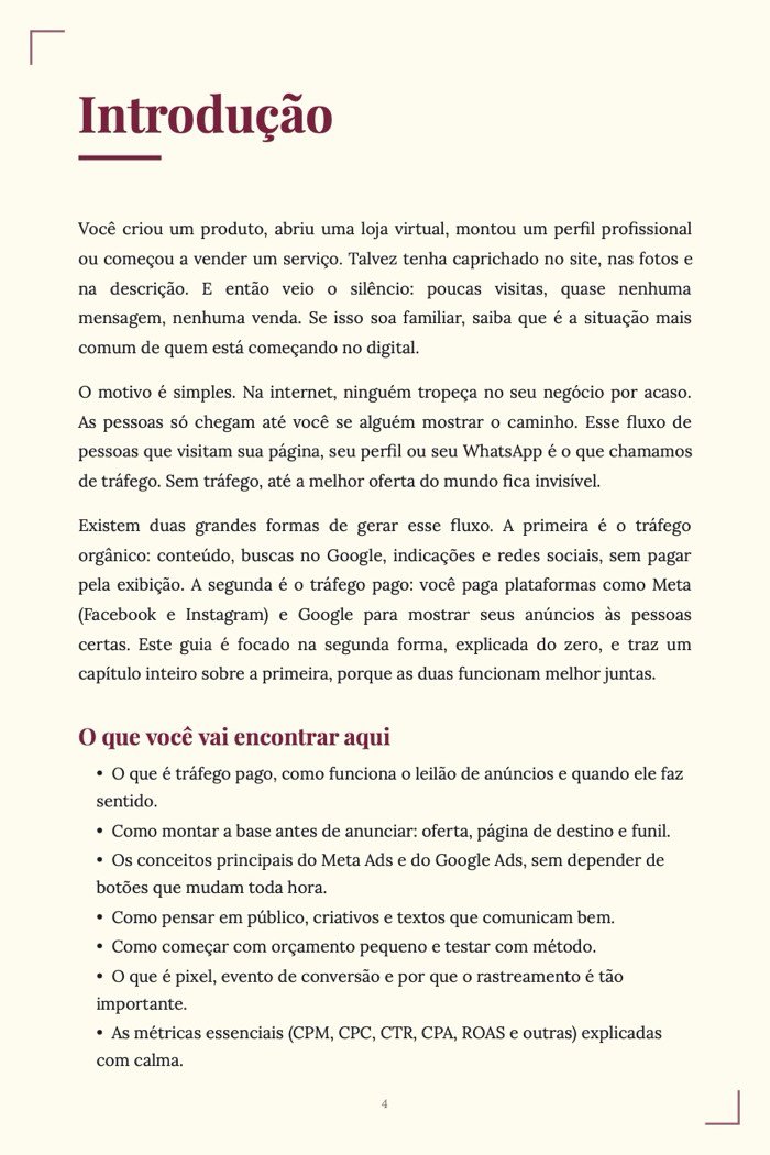 Página de exemplo 2 de Tráfego Pago para Iniciantes