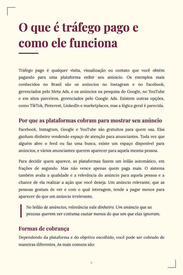 Página de exemplo 3 de Tráfego Pago para Iniciantes